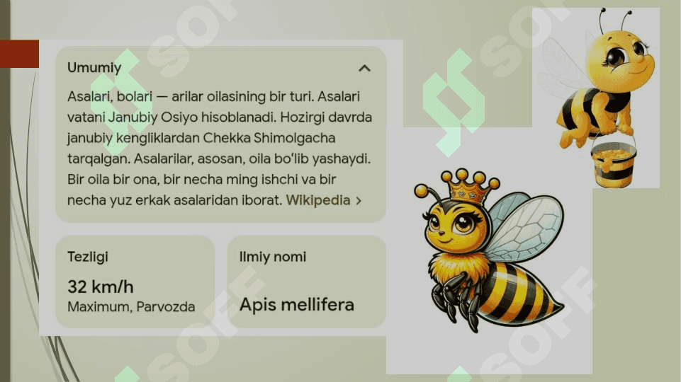 Asalari Allohning mo'jizasi 3