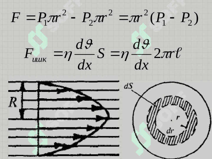 Bioreologiya. Biologik suyuqliklarning qovushqoqligi. Yurak faoliyatining fizikaviy asoslari 4