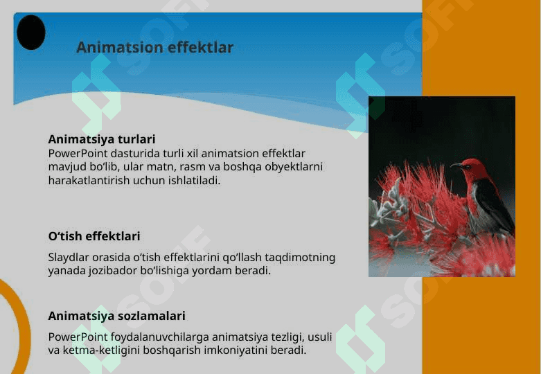 Multimediya va uning zamonaviy ta’minoti. Power Point dasturining asosiy elementlari. Animatsion effektlar. Taqdim etishni boshqarish. Multimediali taqdimotlar yaratish. 8