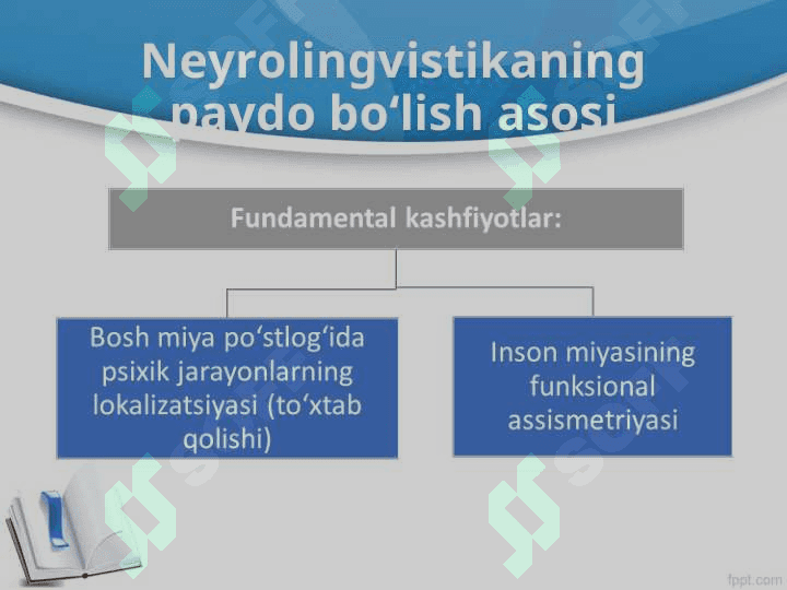 Neyrolingvistika 4