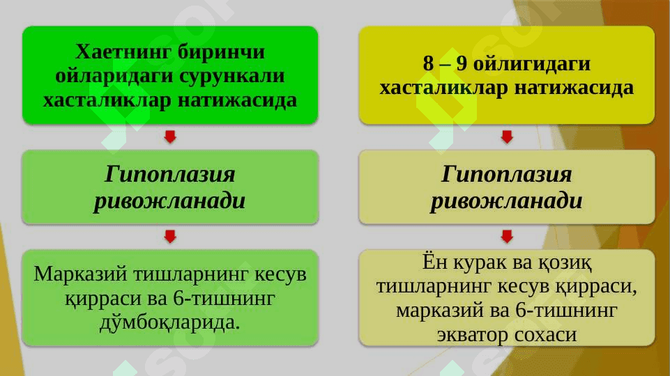 Tish rivojlanish gistogenez davrida sodir boʻladigan nokaries kasalliklar. Nasliy kasalliklar. Etiologiyasi, patogenezi, tasnifi, klinikasi, davolash va profilaktikasi 7