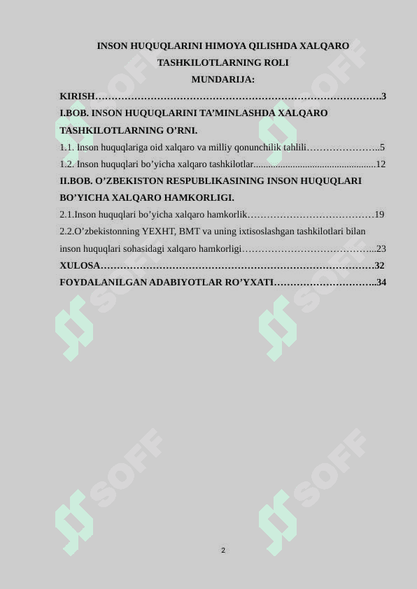 Inson huquqlarini himoya qilishda xalqaro tashkilotlarning roli 2