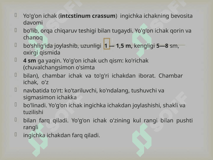 Yo’g’on ichak va uning yoshga qarab o’zgarishi 2