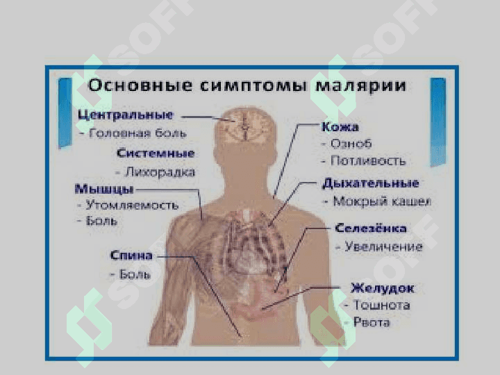 Противопротозойные средства 7