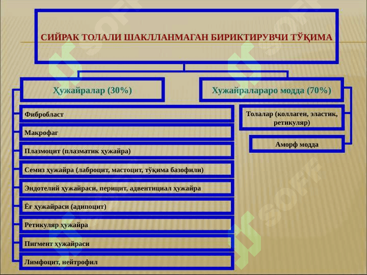 Biriktiruvchi to’qima, Tuzilishi, xususiyatlari va gistologiyasi 7