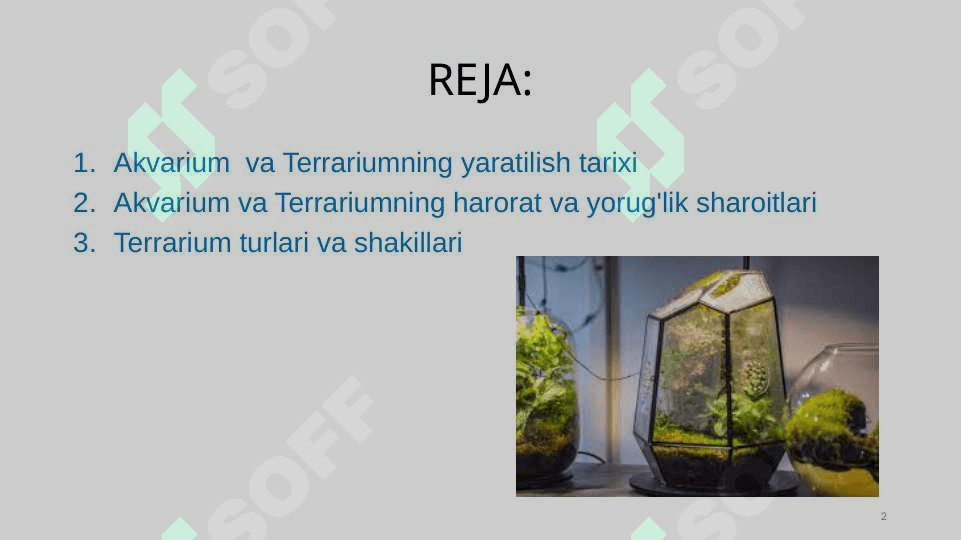 AKVARIUM VA TERRARIUMDA YASHOVCHILARNI PARVARISHLARNING SHART SHAROITINI O'RGANISH 2