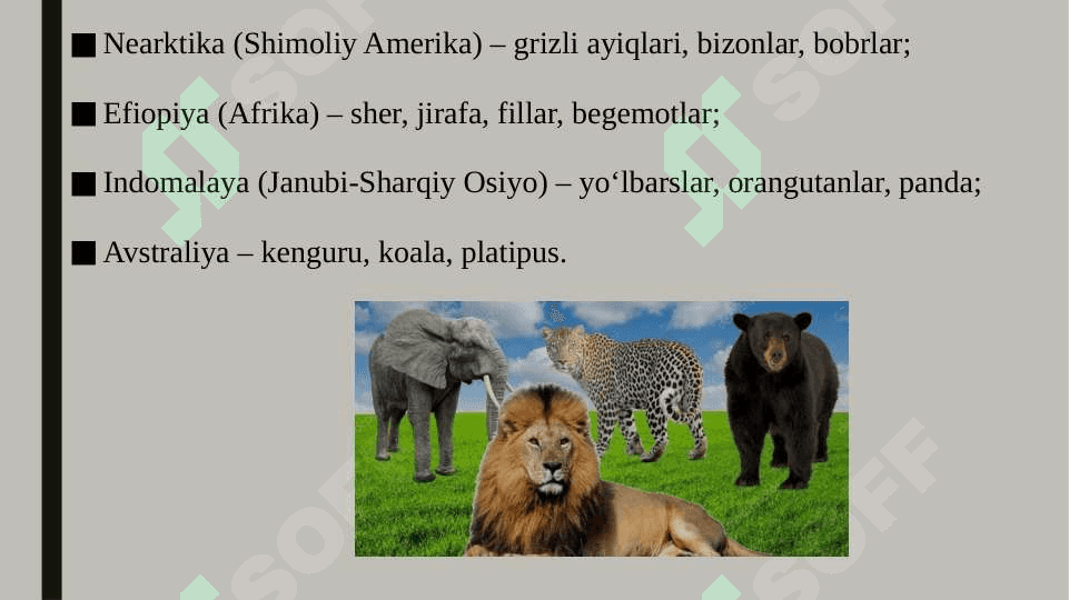 Yer sharida hayvonot dunyosi tarqalishi 4