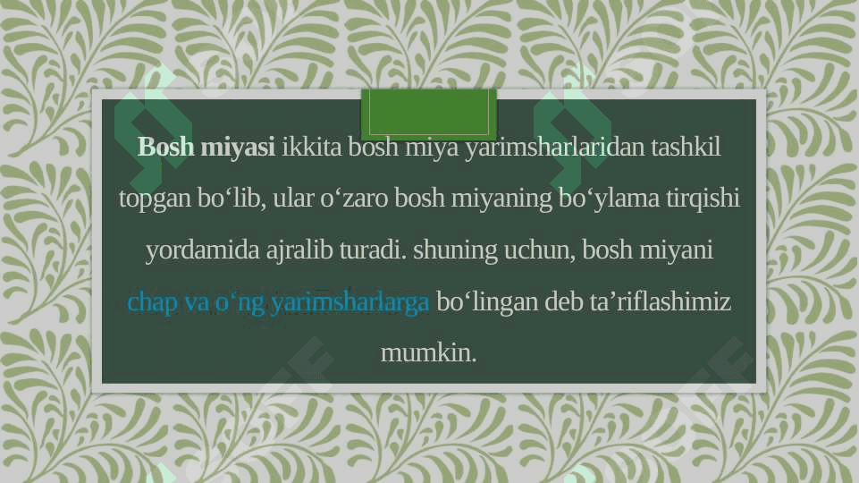 Bosh miya yarimsharlarining anatomiyasi va fiziologiyasi. 4