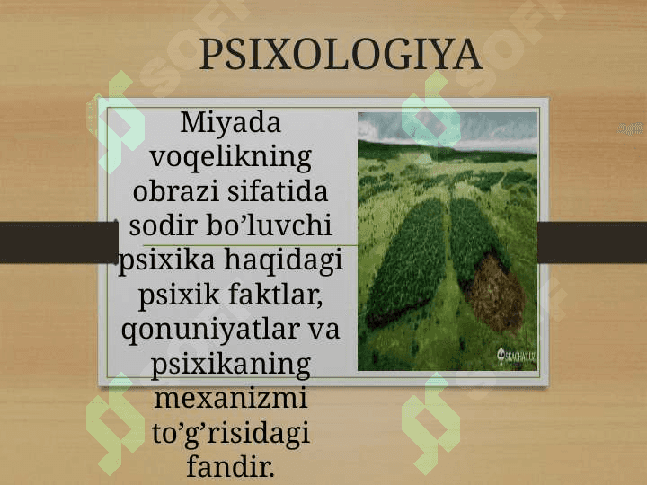Psixologiya fanining rivojlanish tarixi 3