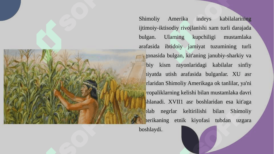 SHIMOLIY AMERIKA XALQLARI XO'JALIK MASHG'ULOTLARI 7