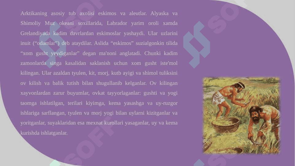 SHIMOLIY AMERIKA XALQLARI XO'JALIK MASHG'ULOTLARI 8