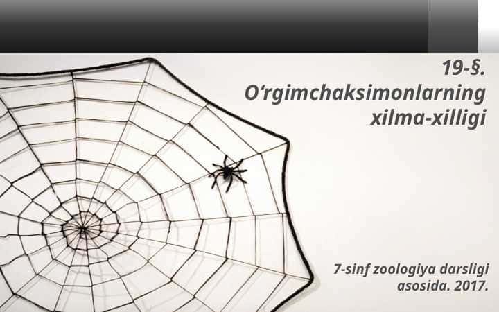 O'rgamchaksimonlarning xilma xilligi 1