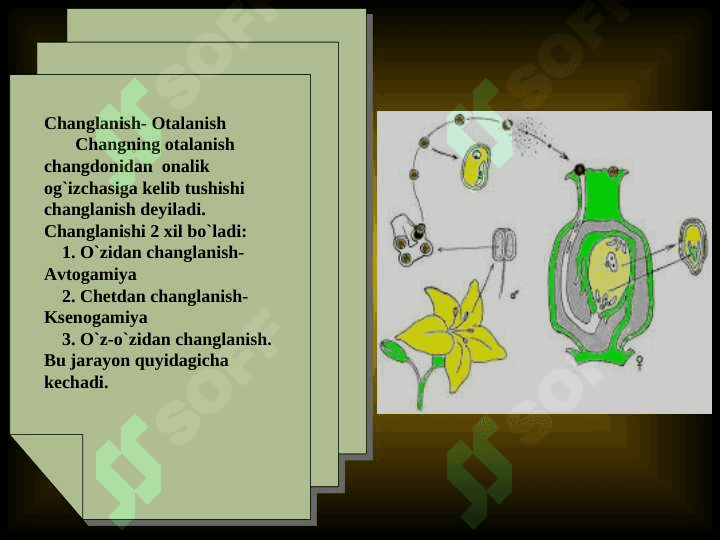 Changlanish jarayoni 3