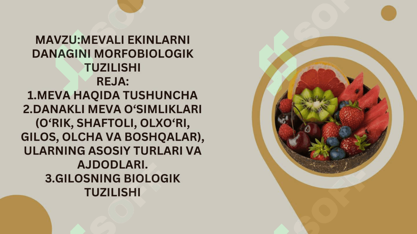 MEVALI EKINLARNI DANAGINI MORFOBIOLOGIK TUZILISHI 2