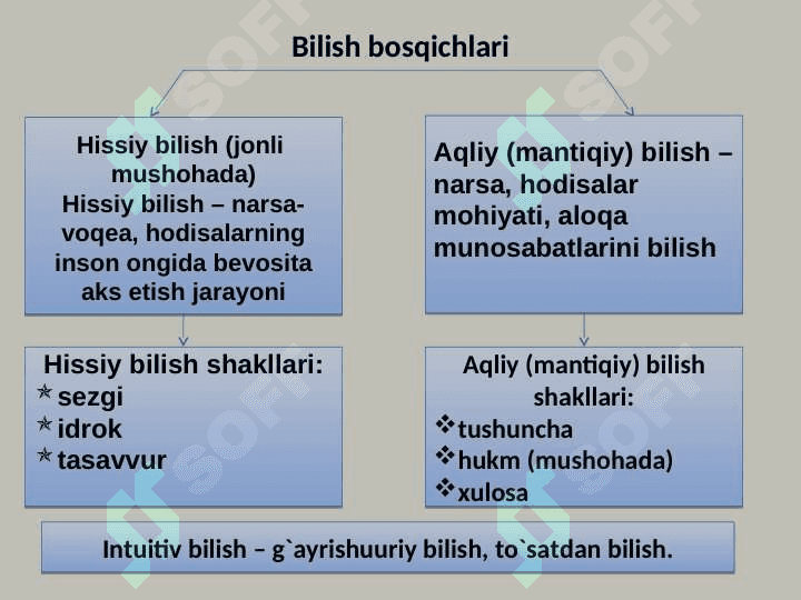 BILISH NAZARIYASI BILISH YO`NALISHLARI VA MUAMMOLARI 6
