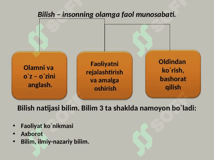 BILISH NAZARIYASI BILISH YO`NALISHLARI VA MUAMMOLARI 8