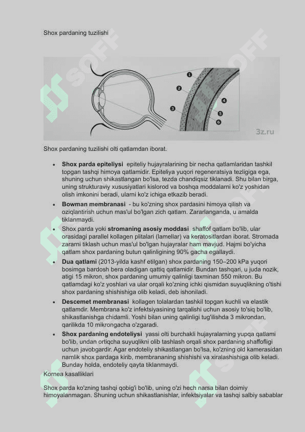 Shox parda va uning kasalliklari 2