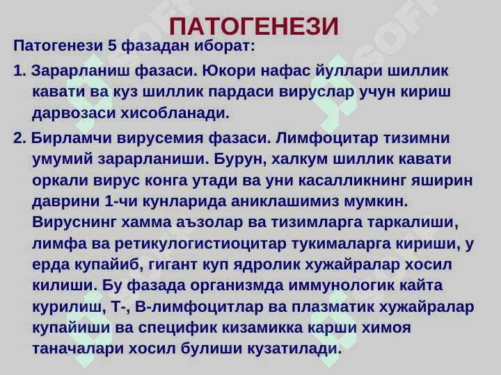 Кизамик 8