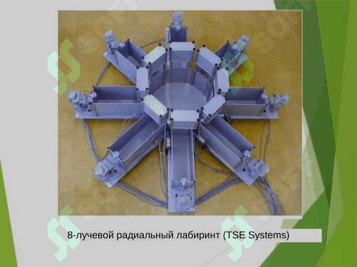 Гипоталамический синдром 8