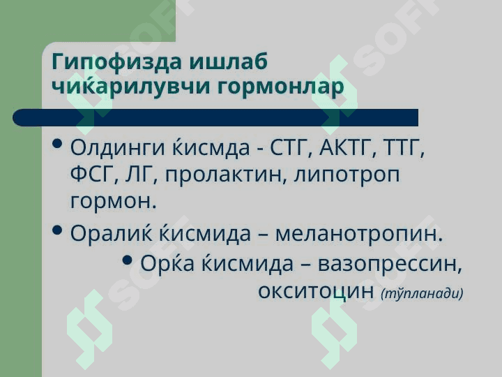 ENDOKRIN TIZIM PATOFIZIOLOGIYASI 8