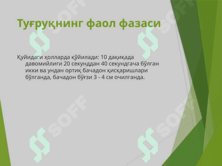 ПАРТОГРАММА ОЛИБ БОРИШ СТАНДАРТИ 5