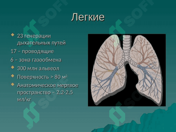 Гипоксемия 7
