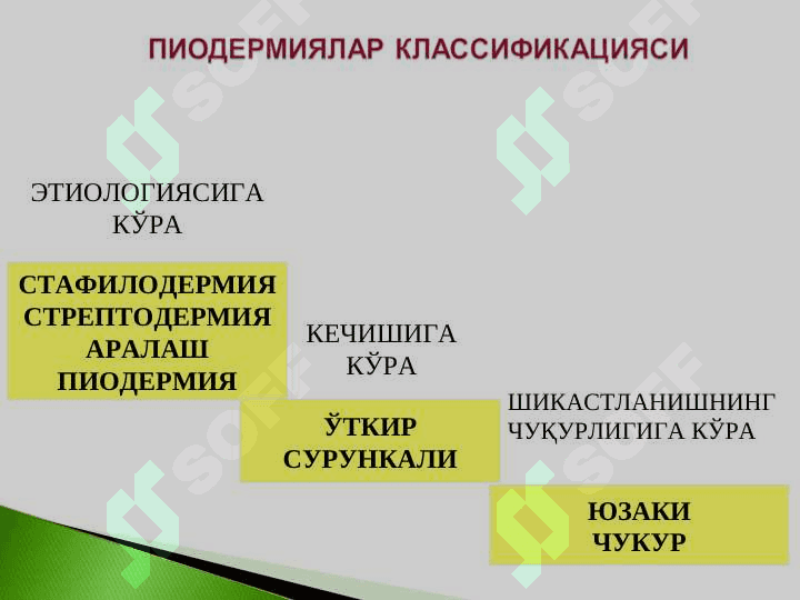 Тренинг юқумли касалликлари. Пиодермиялар, дерматозоонозлар, микозлар. 5