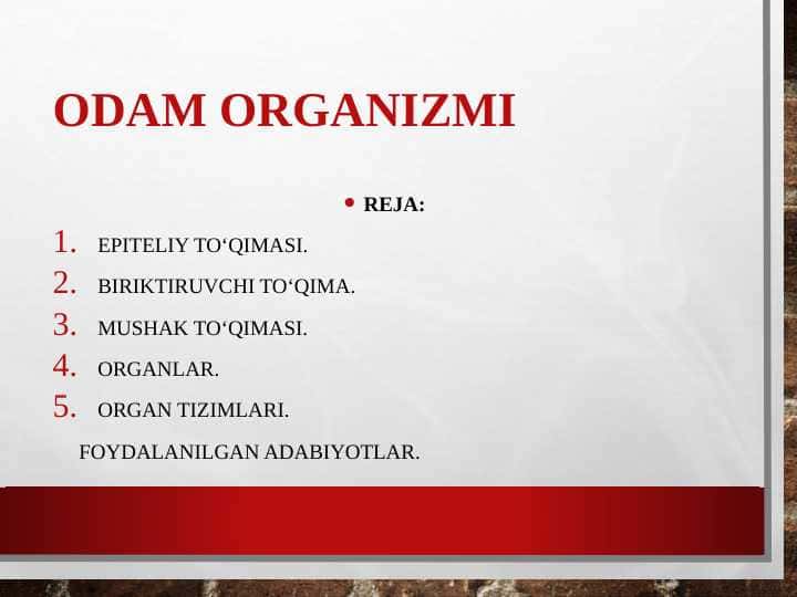 Odam organizmi