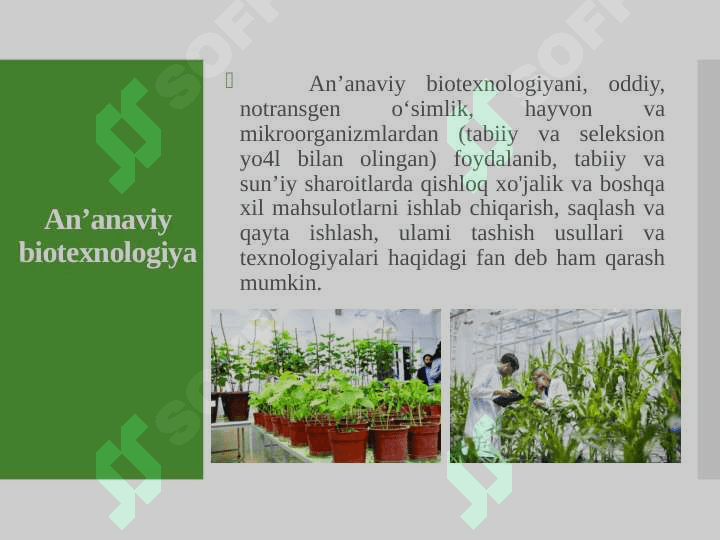 Qishloq xojaligi biotexnalogiyasining nazariy va amaliy ahamiyati 4