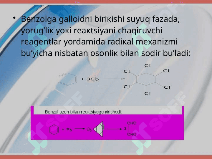 Tutashgan arenlar 6