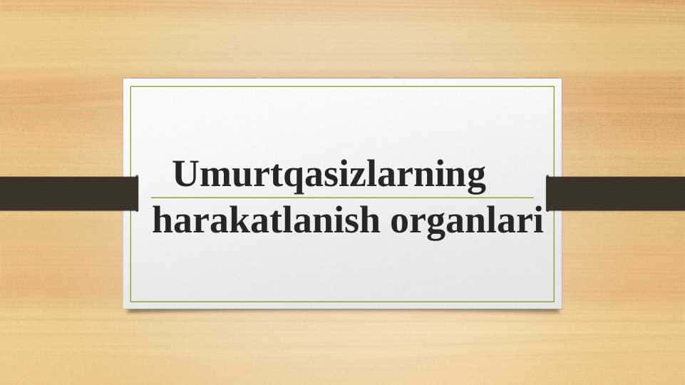 Umurtqasizlarning harakatlanish organlari