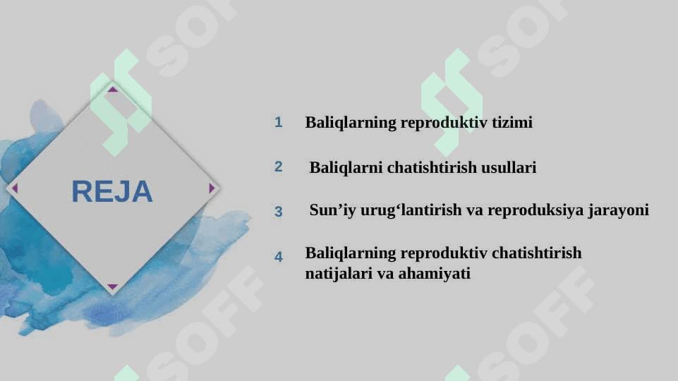 Baliqlarni Reproduktiv Chatishtirish 2