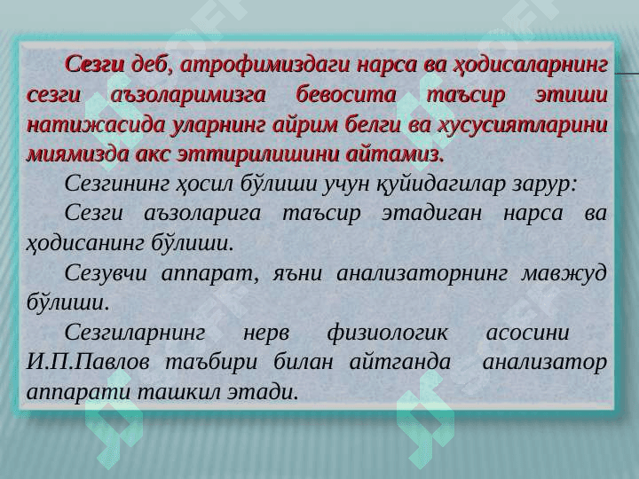 СЕЗГИ 2