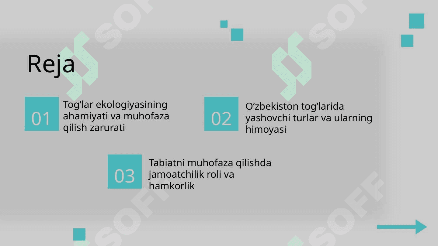 Oʻzbekiston togʻlari tabiatini muhofaza qilish muommolari 2