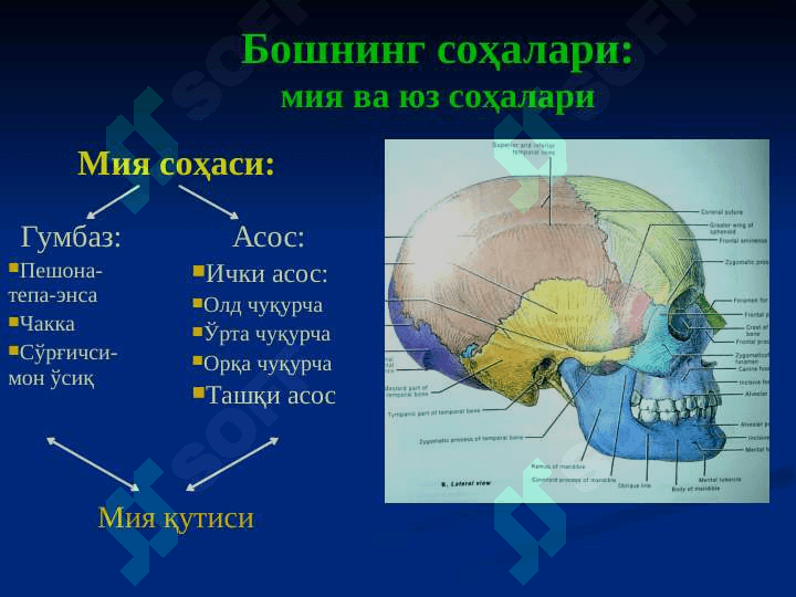 НЕЙРОХИРУРГИЯ 2