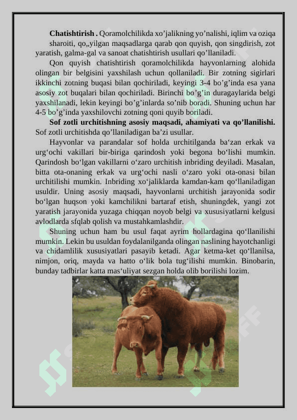 Sof zotli urchitish 3