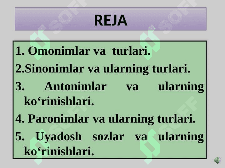 SO‘ZLARNING SHAKL VA MA’NO MUNOSABATLARIGA KO‘RA TURLARI 2
