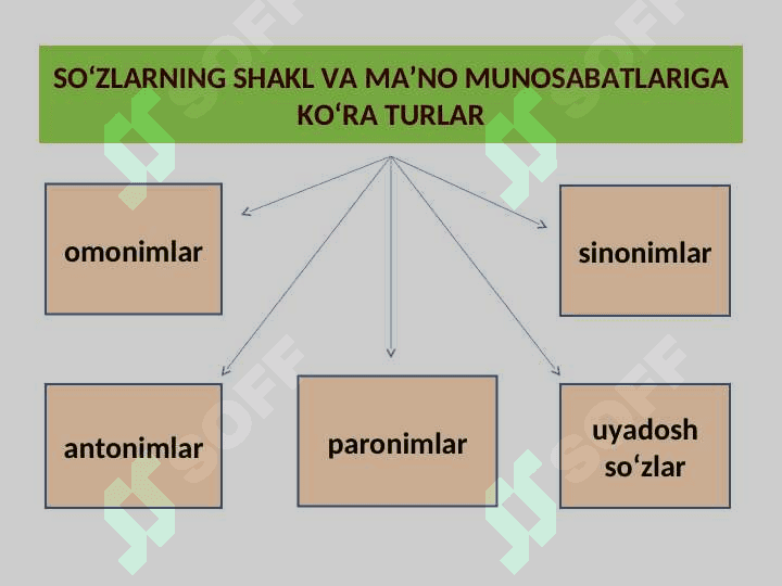 SO‘ZLARNING SHAKL VA MA’NO MUNOSABATLARIGA KO‘RA TURLARI 3