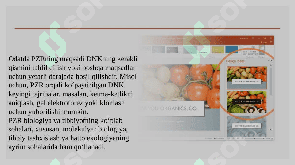 Polimeraza zanjir reaksiyasi 2