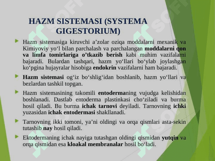 Hazmlanish jarayonining endokrin boshqariluvi. Me’da-ichak nayining endokrin hujayralari 3