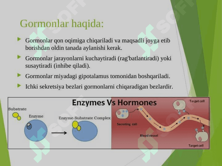 Hazmlanish jarayonining endokrin boshqariluvi. Me’da-ichak nayining endokrin hujayralari 7