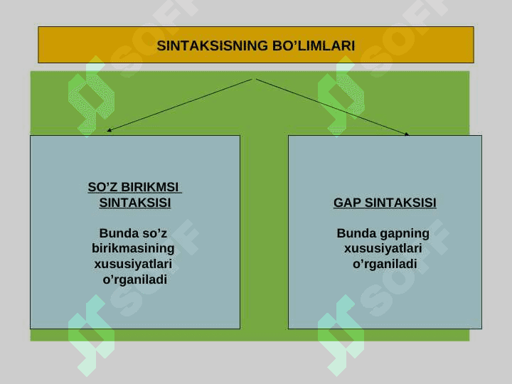 SINTAKSIS. SO’ZLARNING TENG VA TOBE BOG’LANISHI. SO’Z BIRIKMASI, UNING TURLARI, XUSUSIYATLARI 2