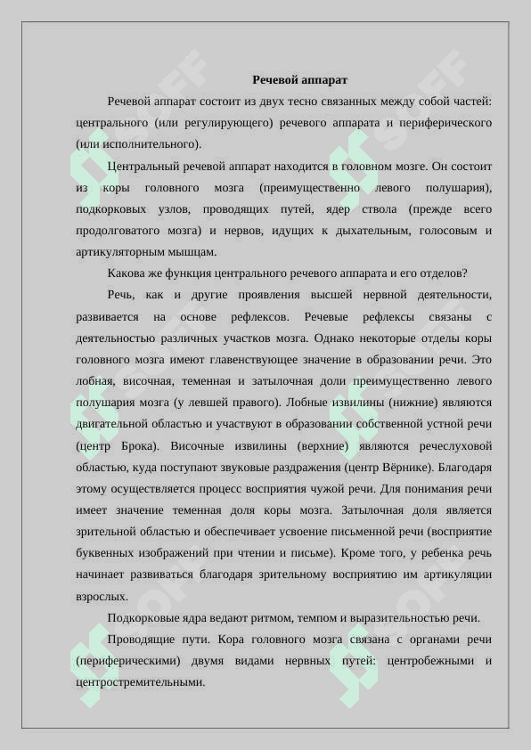 Речевой аппарат 3