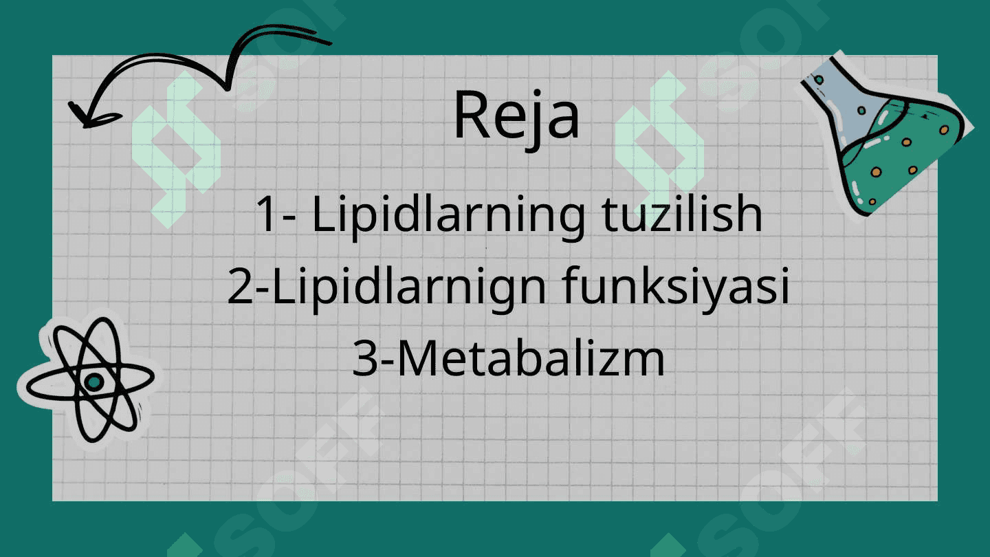 Lipidlarning tuzilishi,  funksiyasi va metabolizmi 2