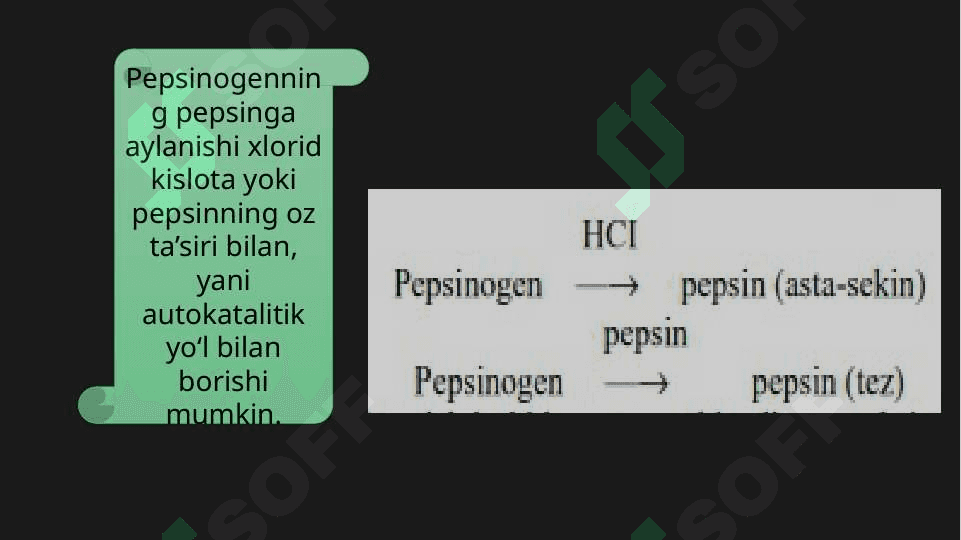 Oqsillarning hazmlanishi, aminokislotalarning so`rilishi va to`qimalararo taqsimlanishi 8