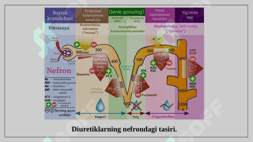 Diuretiklar 4