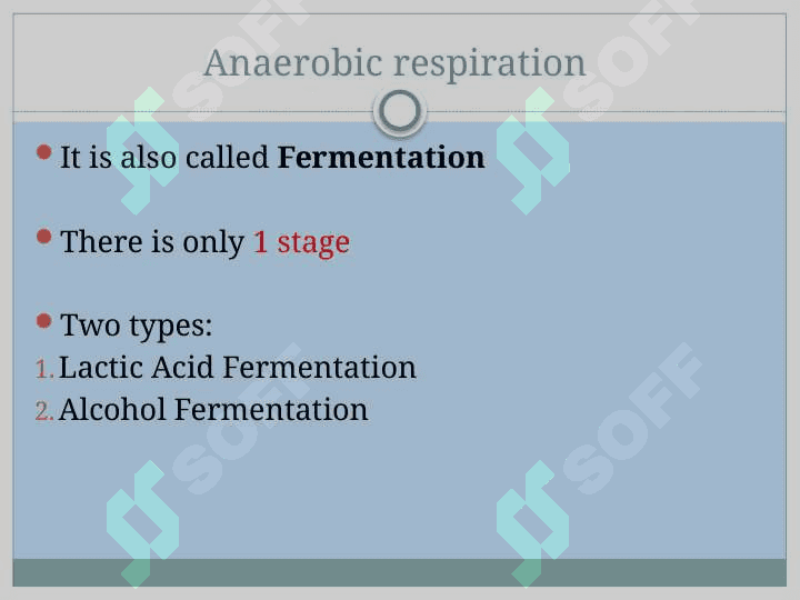 Respiration 4