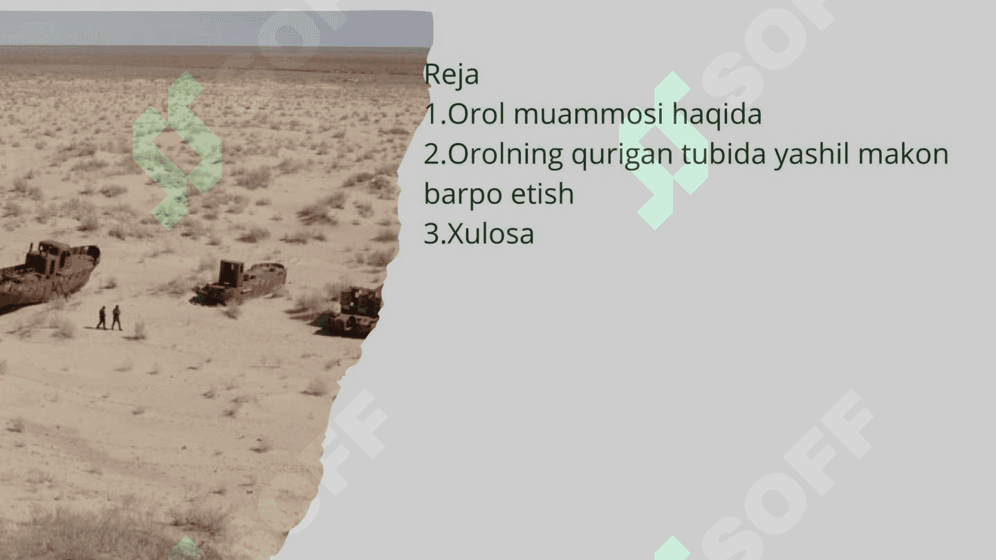 Orol muammosi. Orolning qurigan tubida yashil makon barpo etish 3