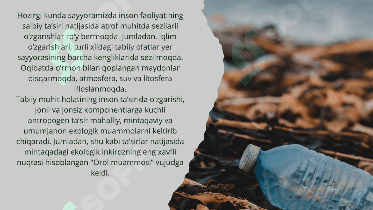 Orol muammosi. Orolning qurigan tubida yashil makon barpo etish 4