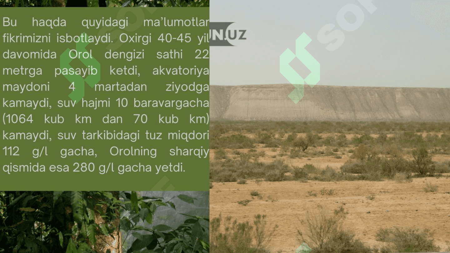 Orol muammosi. Orolning qurigan tubida yashil makon barpo etish 5